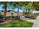 Beautiful 2-story home with palm trees and a brick driveway at 20200 Lace Cascade Rd, Land O Lakes, FL 34637
