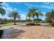 Landscaped front yard with palm trees and a brick driveway at 20200 Lace Cascade Rd, Land O Lakes, FL 34637