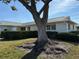Home exterior with mature tree providing shade, complimented by a well-kept lawn and landscaping at 2718 Highlands Blvd # A, Palm Harbor, FL 34684