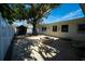 Backyard with fire pit and large shade tree at 4292 Maple Ne St, St Petersburg, FL 33703
