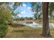 Picturesque pond view from backyard at 4438 Crescent Rd, Spring Hill, FL 34606