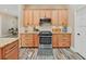 Kitchen boasts stainless steel appliances and ample cabinetry at 807 Virginia Ave, Tarpon Springs, FL 34689