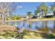 Serene backyard with lake view and two sandhill cranes at 9240 Tiara Ct, New Port Richey, FL 34655
