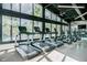 Well-equipped fitness center with treadmills and elliptical machines, all set against a backdrop of palm trees at 14855 Renaissance Ave, Odessa, FL 33556