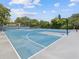 The community features a well-maintained blue basketball court surrounded by lush greenery at 1758 Biarritz Cir, Tarpon Springs, FL 34689