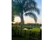 Beautiful backyard view with a lake, palm trees, and an iron fence at sunset or sunrise at 18819 Sunterra Dr, Land O Lakes, FL 34638