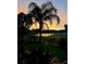 A beautiful backyard view of the lake from behind an iron fence, captured at sunset at 18819 Sunterra Dr, Land O Lakes, FL 34638