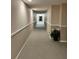 Well-lit hallway with neutral tones and elegant trim, with a decorative plant accent at 30 Turner St # 208, Clearwater, FL 33756