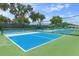 Outdoor pickleball courts with blue playing surfaces, green surroundings, and high net fencing at 11008 Torrey Pines Ct, Hudson, FL 34667