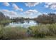 Picturesque view of the lake and surrounding lush greenery, offering a serene escape at 13357 Marble Sands Ct, Hudson, FL 34669