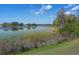 Scenic lake view with lush vegetation and blue skies create a tranquil atmosphere at 13357 Marble Sands Ct, Hudson, FL 34669