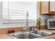 Close-up of kitchen sink area, highlighting the stainless steel sink, faucet, and window at 1709 W Dempsey Ave, Tampa, FL 33603