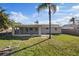 Large backyard with an open lawn, mature palm trees, and a screened-in porch at 7431 Abington Ave, New Port Richey, FL 34655