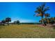 Expansive backyard with palm trees and distant ocean views, perfect for outdoor relaxation at 1723 Gulf Rd # 104, Tarpon Springs, FL 34689