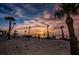 Beautiful sunset view, of a sandy beach lined with silhouetted palm trees, people and calm waters at 1723 Gulf Rd # 104, Tarpon Springs, FL 34689