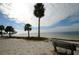 Picturesque beachfront view with swaying palms, gentle waves, bright white sand, and a park bench at 1723 Gulf Rd # 104, Tarpon Springs, FL 34689