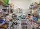 Spacious walk-in pantry with wire shelving for ample storage at 19504 Lily Pond Ct, Brooksville, FL 34601