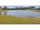 Scenic view of the community pond with grassy shoreline, providing a serene and natural backdrop at 19504 Lily Pond Ct, Brooksville, FL 34601