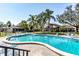 A community pool surrounded by palm trees, lounge chairs, and well-maintained landscaping at 2101 Sunset Point Rd # 2706, Clearwater, FL 33765