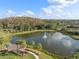 Scenic view of a tranquil pond featuring a fountain, surrounded by lush greenery and mature trees in a natural setting at 29917 Southwell Ln, Wesley Chapel, FL 33543
