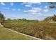 Scenic backyard view overlooking the marsh and nature trails, perfect for outdoor enjoyment at 4513 Dewey Dr, New Port Richey, FL 34652