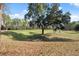 View of the beautiful, green golf course beyond the lush backyard and mature trees at 5351 Championship Cup Ln, Spring Hill, FL 34609