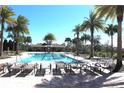 Resort-style pool with lounge chairs and palm trees at 11936 Sky Acres Ter, Bradenton, FL 34211