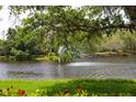 Scenic lake view with lush greenery and a fountain at 4264 Central Sarasota Pkwy # 116, Sarasota, FL 34238