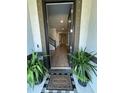 Inviting entryway with wood-look floors and a view into the living area at 12282 Creek Preserve Dr, Riverview, FL 33579