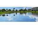 Community pond with lush green landscaping and palm trees at 11281 Beach Walk Ne Way, St Petersburg, FL 33716