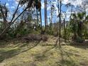 Backyard landscaping featuring mature trees and natural foliage creating a serene outdoor space at 5661 Gaffney Rd, North Port, FL 34286
