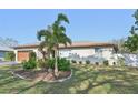 Charming single-story home featuring a well-maintained lawn, landscaping, and mature palm trees at 151 Adair Ave, Sarasota, FL 34243