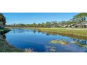 Serene waterfront view with lush greenery and calm water at 4410 Weybridge # 91, Sarasota, FL 34235