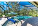 A screened-in pool area featuring a lounge chair, umbrella, and blue patio chairs in the pool's shallows at 13534 5Th Ne Ave, Bradenton, FL 34212