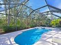 Relaxing screened pool and spa with lush landscaping views at 9818 Discovery Ter, Bradenton, FL 34212