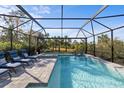 Screened pool and spa with lounge chairs; backyard view at 6299 Crested Eagle Ln, Nokomis, FL 34275