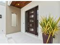 Stylish dark brown modern front door with glass panels and a sleek design at 2138 Floyd St, Sarasota, FL 34239