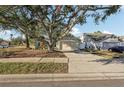 House exterior showcasing a light green color, metal roof, and a large tree in front at 510 45Th E St, Bradenton, FL 34208