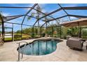 Enclosed pool area with lounge chairs and patio furniture at 16806 5Th Ne Ter, Bradenton, FL 34212