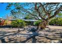 Landscaped front yard with a large oak tree and a single story home at 7147 Point Of Rocks Cir, Sarasota, FL 34242