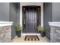 Modern black front door with sidelights, stone accents, and potted plants at 2471 Midnight Pearl Dr, Sarasota, FL 34240