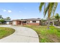 Curved driveway leading to a ranch-style house with palm trees at 542 Baywood S Dr, Dunedin, FL 34698