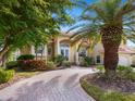 Stunning home with palm trees and a brick driveway at 12317 Baypointe Ter, Cortez, FL 34215