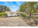 House exterior with a large tree and a yard at 9066 Oneal Ave, New Port Richey, FL 34654
