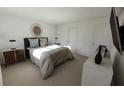 Spacious bedroom with a large bed, nightstands, and a modern mirror at 13017 Cedar Elm Lane, Parrish, FL 34219