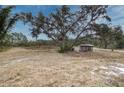 Overgrown yard with shed and pond in background at 14150 Manatee Rd, Parrish, FL 34219