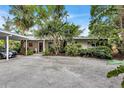 Mid-century home with carport and tropical landscaping at 6231 Beechwood Ave, Sarasota, FL 34231