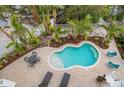 Freeform swimming pool with a patio and lounge chairs at 727 Holly Rd, Anna Maria, FL 34216