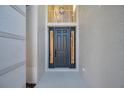 Modern dark gray front door with sidelights, welcoming entryway at 14146 Cattle Egret Pl, Bradenton, FL 34202