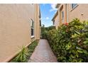 Brick-paved walkway lined with lush greenery between townhomes at 3665 Square West Ln # 13, Sarasota, FL 34238